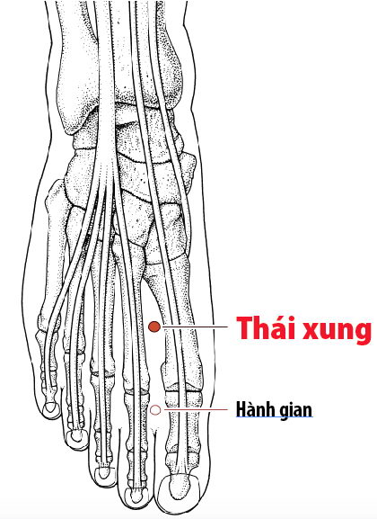 Huyệt Thái xung trên bàn chân