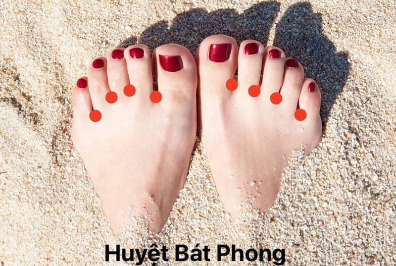 Huyệt Bát phong 