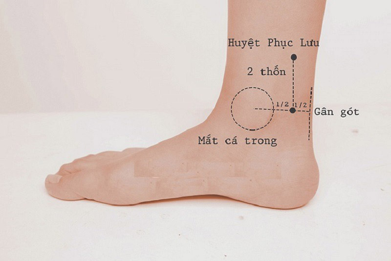 Vị trí huyệt Phục Lưu