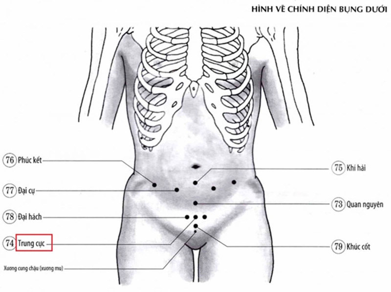 Vị trí huyệt Trung Cực