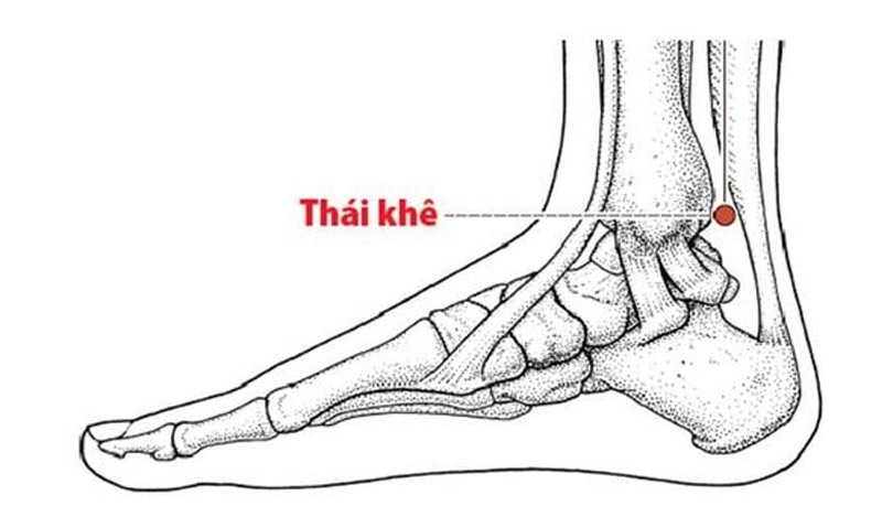 Vị trí huyệt Thái Khê