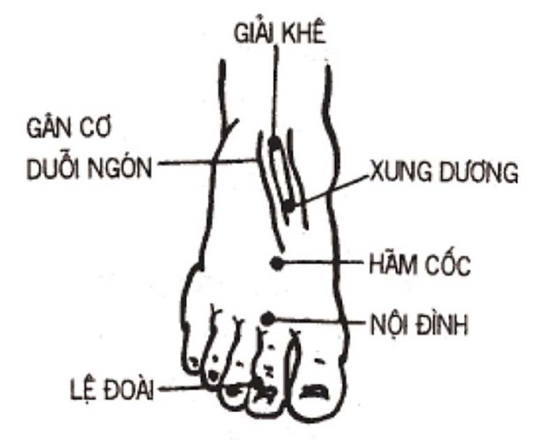 Vị trí huyệt Giải Khê