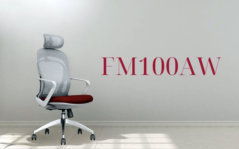 Ghế Công Thái Học MyChair FM100AW cao cấp, sang trọng