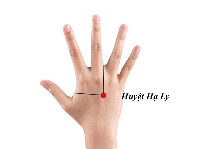 Vị trí huyệt Hạ Ly