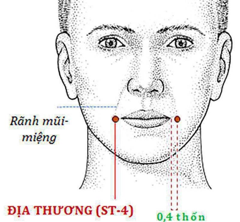 Vị trí huyệt Địa Thương nằm ngay khóe miệng