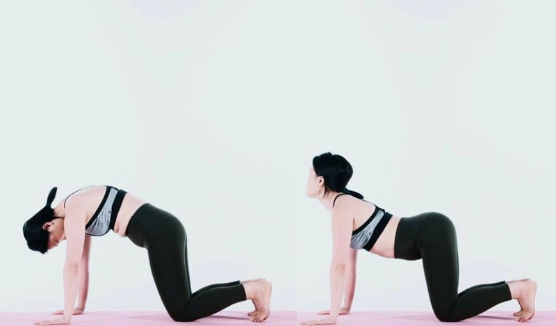 Tư thế mèo bò đơn giản nhưng hiệu quả giãn cơ lưng rõ rệt