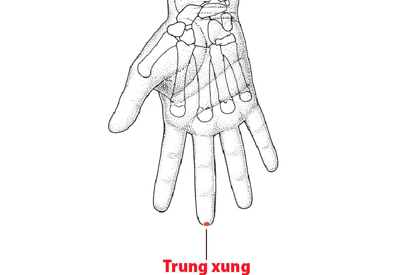 Vị trí huyệt Trung Xung