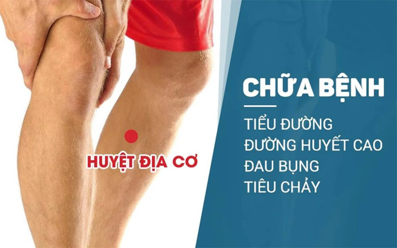 Địa Cơ - Huyệt đạo quan trọng trong Đông Y