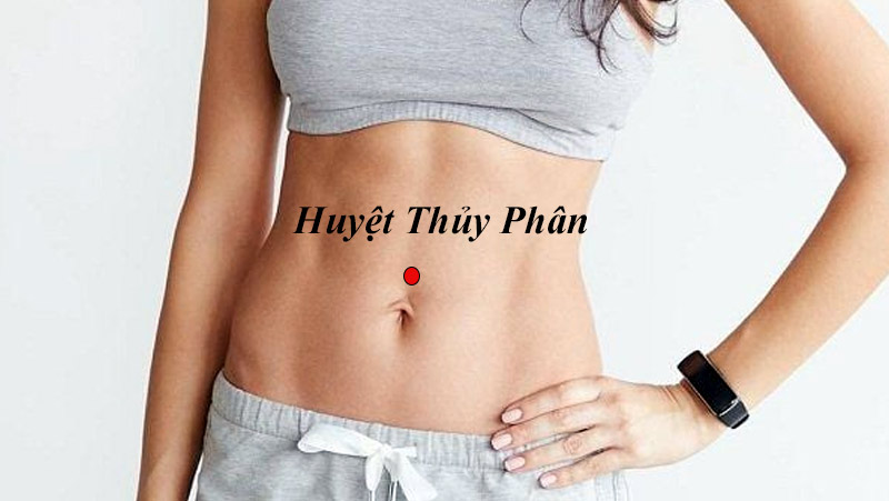 Vị trí huyệt Thủy Phân