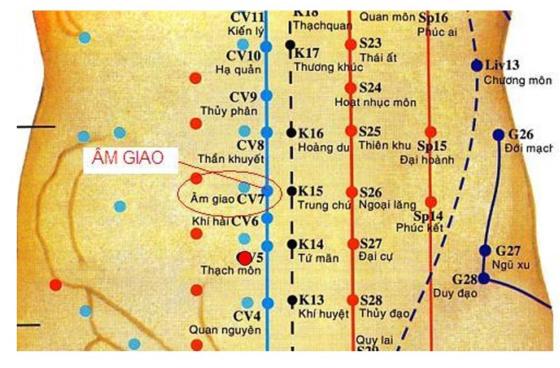 Vị trí huyệt Âm Giao