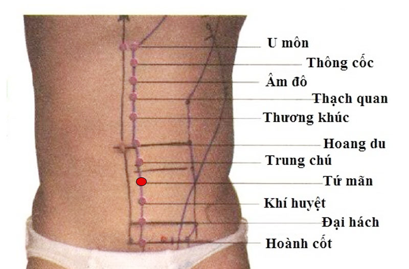 Vị trí huyệt vùng bụng Tứ Mãn
