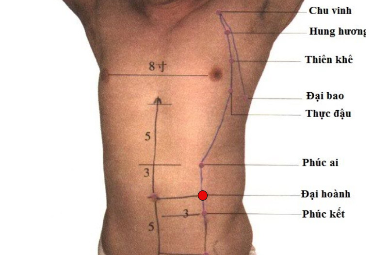 Vị trí huyệt Đại Hoành