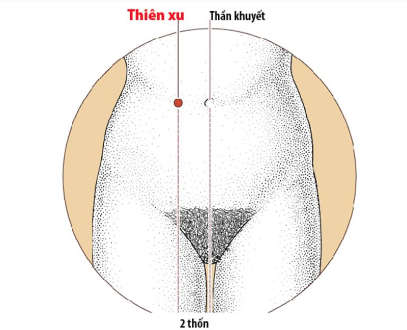 Huyệt vùng bụng Thiên Xu