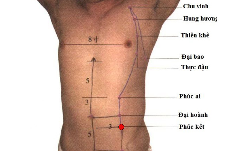 Vị trí huyệt Phúc Kết