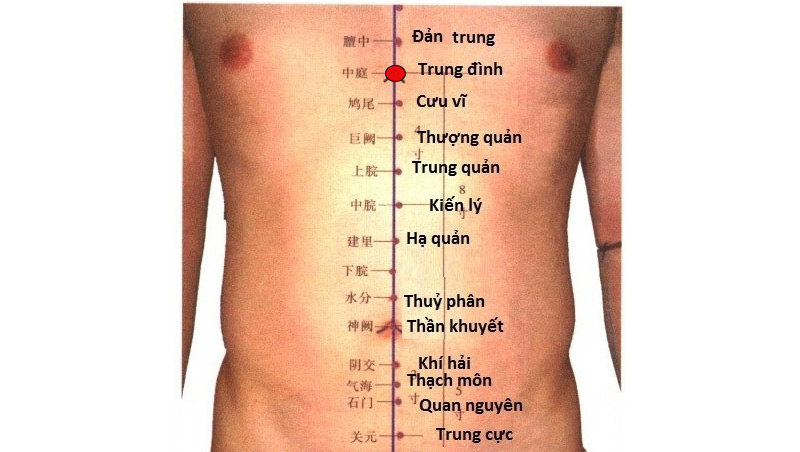 Vị trí huyệt Trung Đình