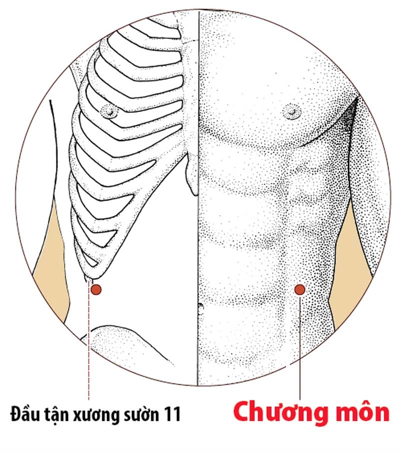 Vị trí huyệt Chương Môn