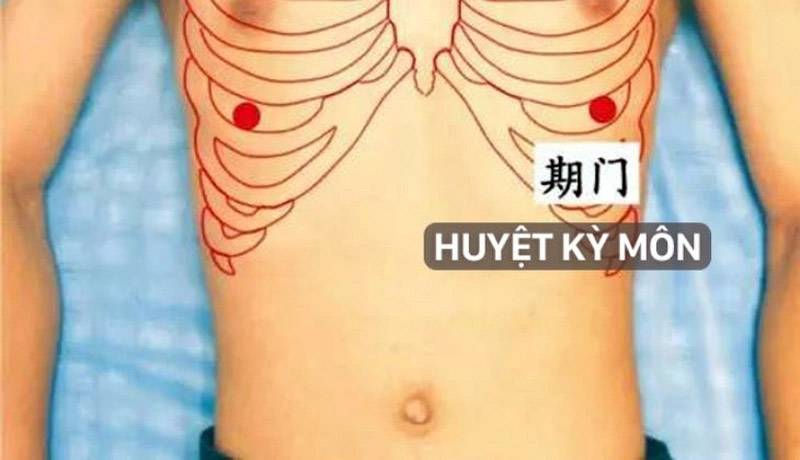 Vị trí huyệt Kỳ Môn