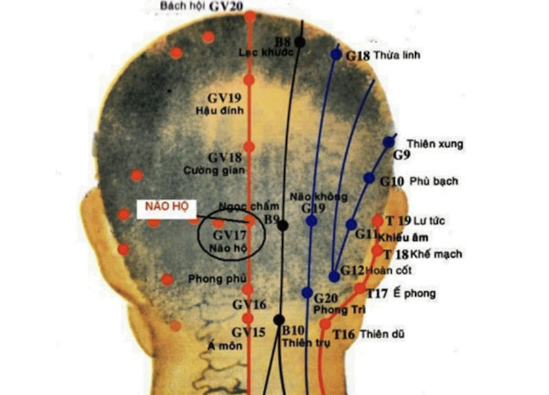 Huyệt Não Hộ là huyệt thứ 17 của mạch Đốc