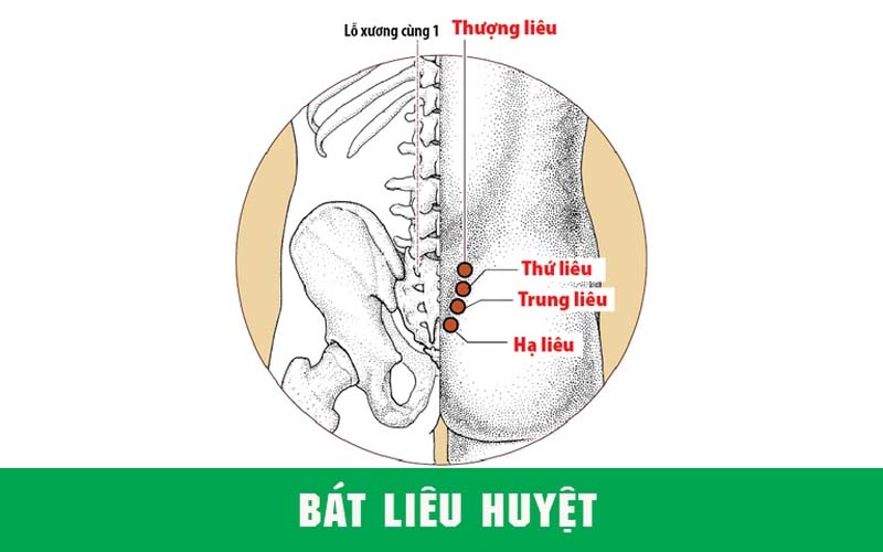 Huyệt Hạ Liêu là một trong Bát Liêu huyệt