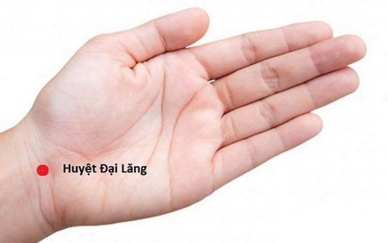 Vị trí huyệt Đại Lăng