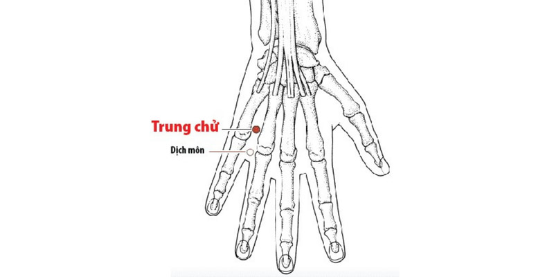 Vị trí huyệt Trung Chữ