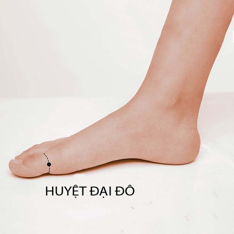 Vị trí huyệt Đại Đô