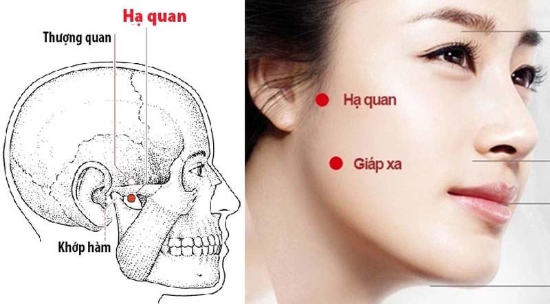 Vị trí huyệt Hạ Quan
