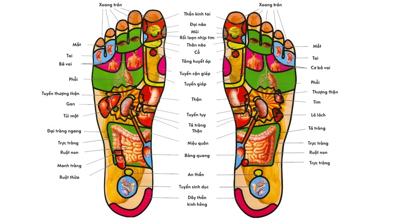 Các huyệt ở bàn chân: Vị trí và tác dụng