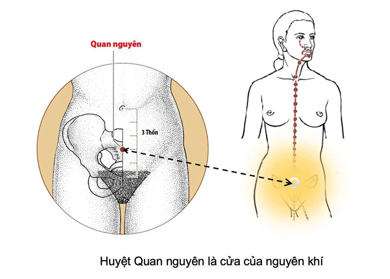 Cách bấm huyệt trị đầy bụng Quan Nguyên