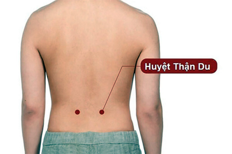 Vị trí huyệt Thận Du