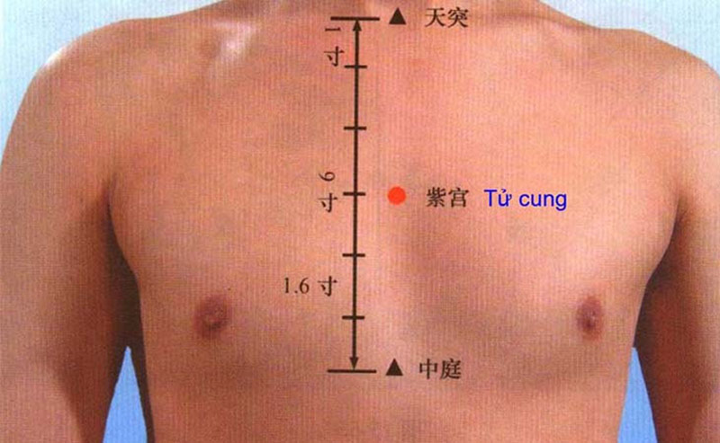 Vị trí huyệt Tử Cung