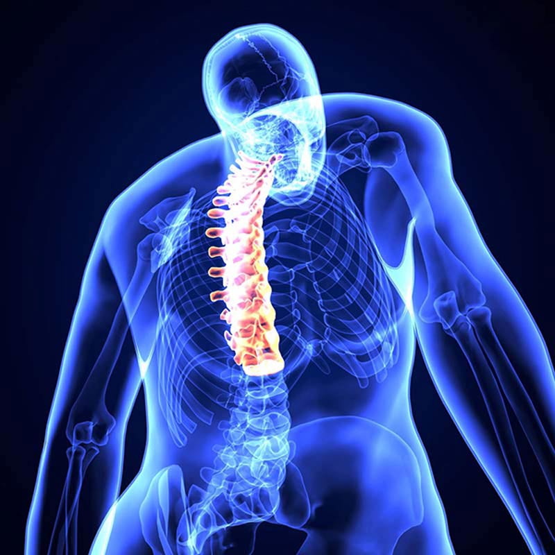 Đau lưng giữa là các cơn đau vùng cột sống ngực