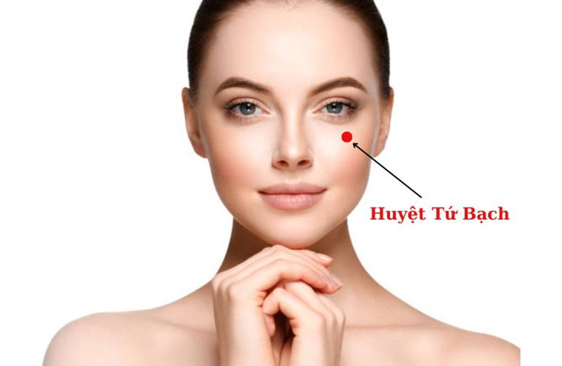 Vị trí huyệt Tứ Bạch