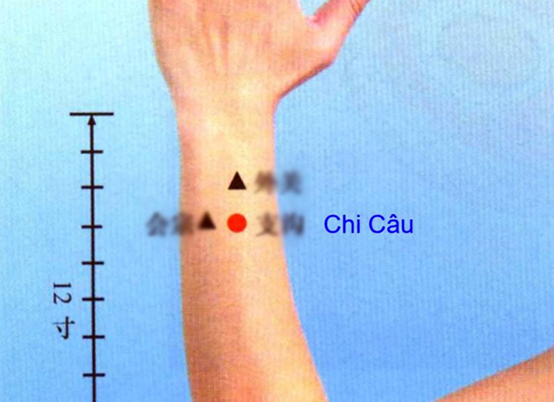 Vị trí huyệt Chi Câu