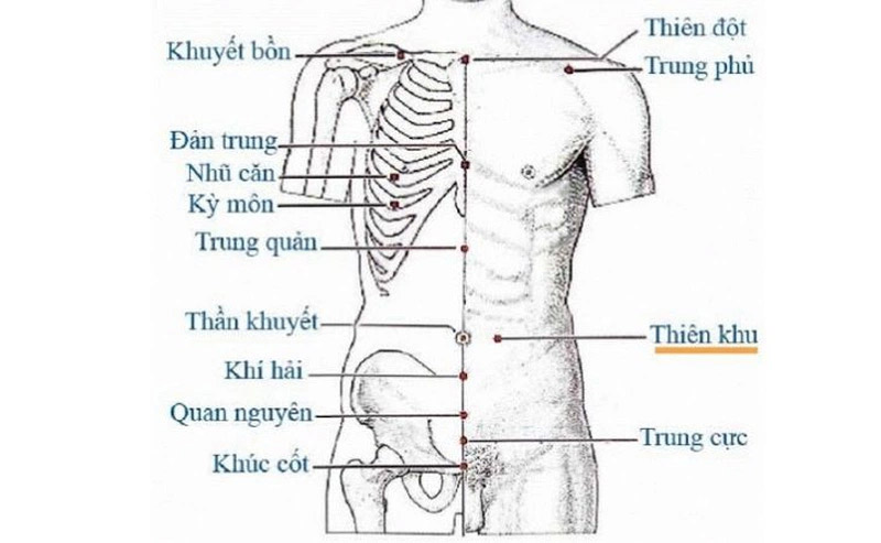 Vị trí huyệt Thiên Khu