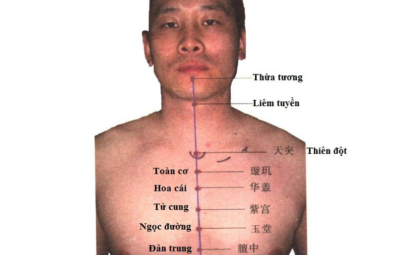 Huyệt Liêm Tuyền nằm ở đâu? Ngay vùng cổ trên yết hầu