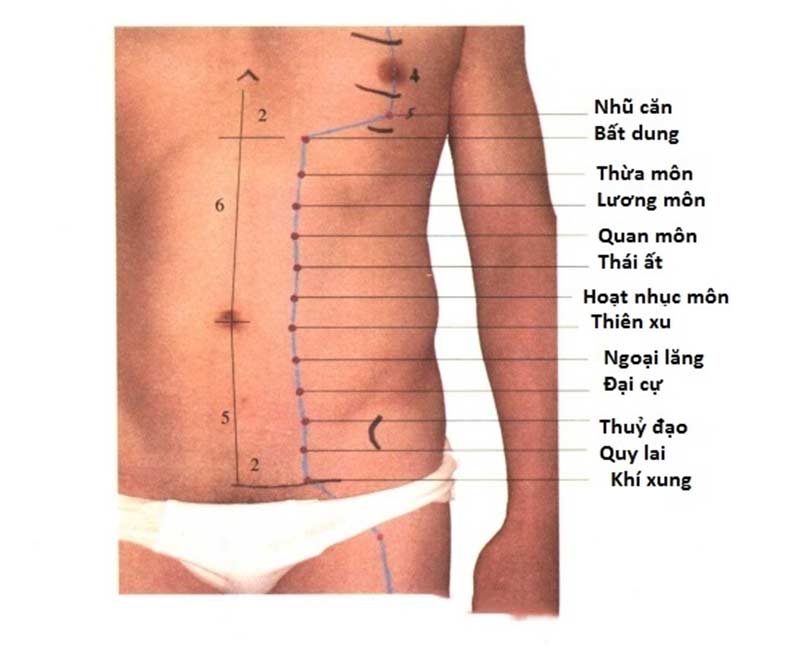 Vị trí huyệt Ngoại Lăng