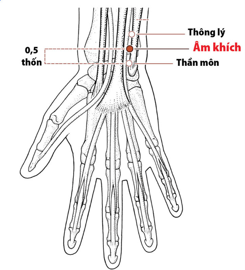 Vị trí huyệt Âm Khích