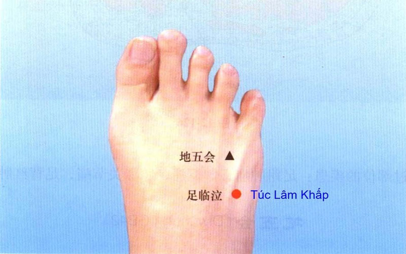Rối loạn tiền đình bấm huyệt nào - huyệt Túc Lâm Khấp