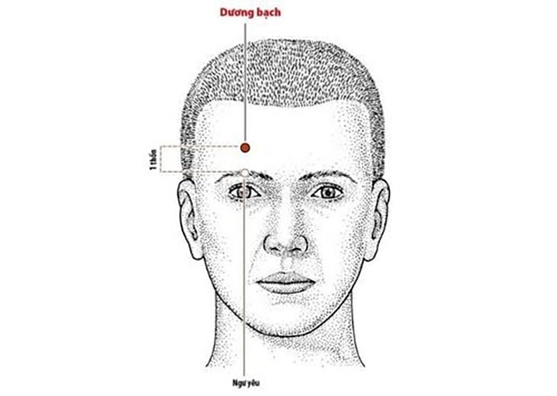 Vị trí huyệt Dương Bạch