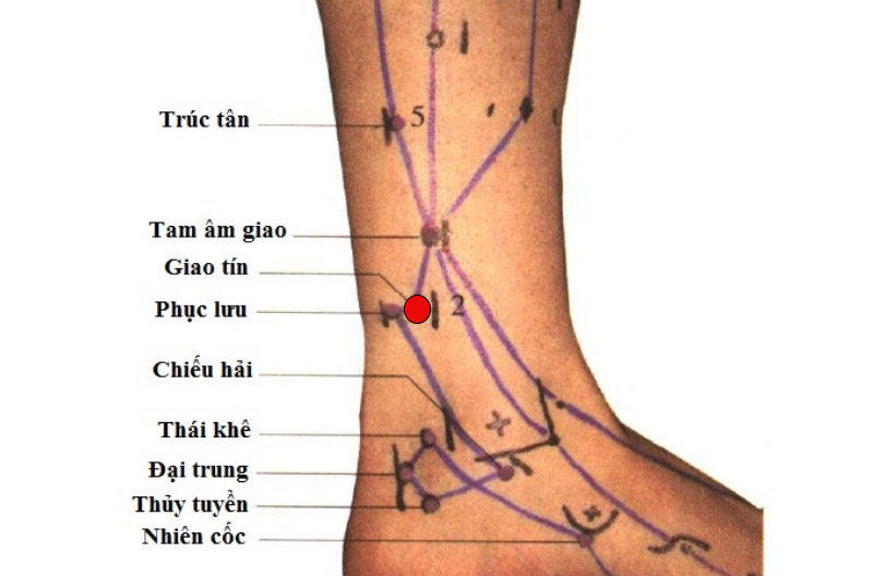 Vị trí huyệt Giao Tín