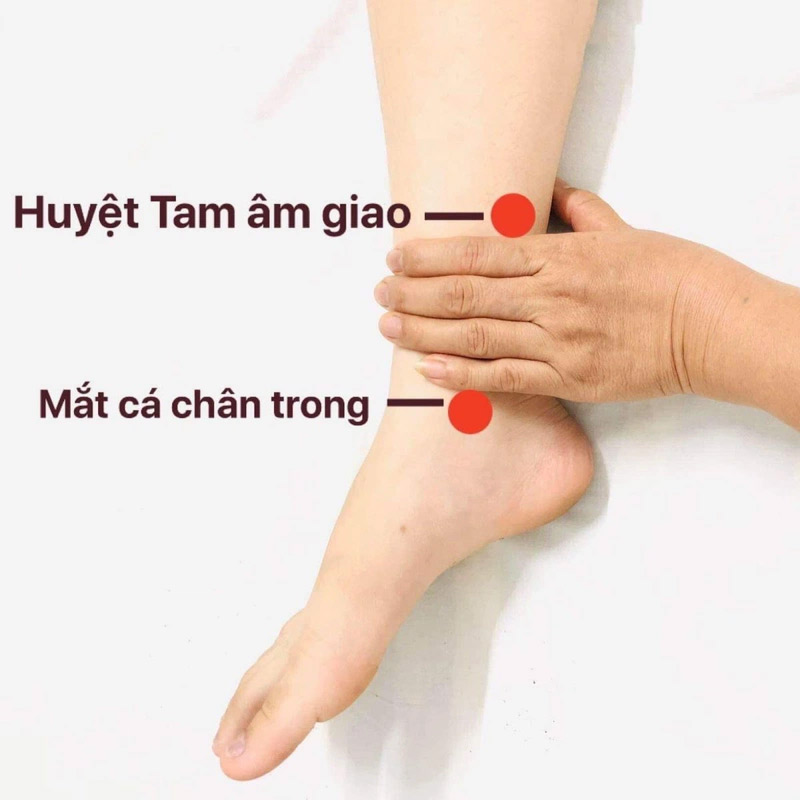 Hình ảnh huyệt Tam Âm Giao
