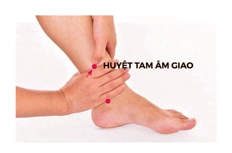 Huyệt Tam Âm Giao ở đâu? Nằm tại cẳng chân
