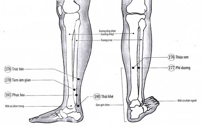 Huyệt Thừa Sơn vị trí nằm tại cuối bắp chân, chỗ lõm của 2 cơ sinh đôi