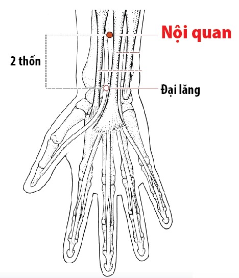 Cách massage bấm huyệt giúp lưu thông máu lên não