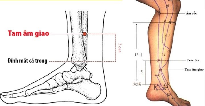 Cách massage bấm huyệt giúp lưu thông máu lên não