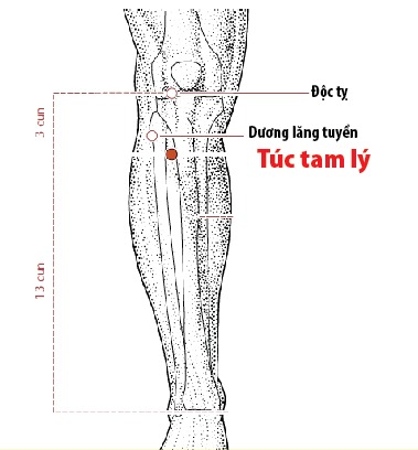 Cách massage bấm huyệt giúp máu lưu thông lên não