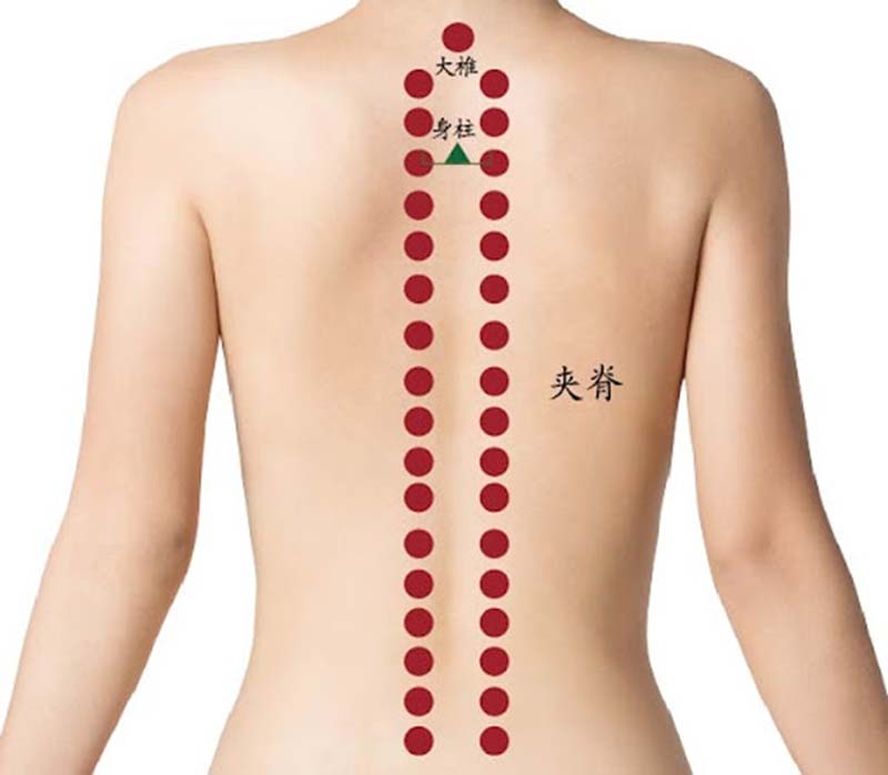 Hình ảnh vị trí huyệt Giáp Tích L5 S1