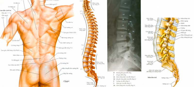Hội chứng thắt lưng hông là gì?