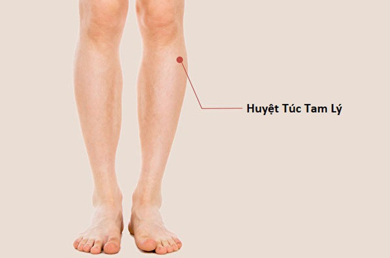 Huyệt Túc Tam Lý: Vị trí, công dụng và cách bấm